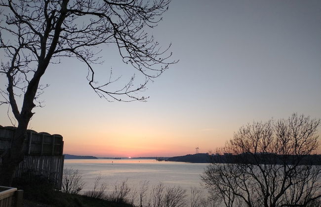 Martello View - 3 Bedroom - Llanreath - Foto 32