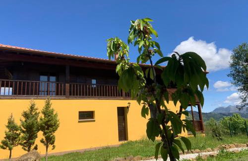 BellasVistas - Foto 11