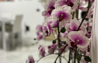 Villa&Colombo - Foto 33