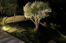 Studio Chavaray - Foto 11