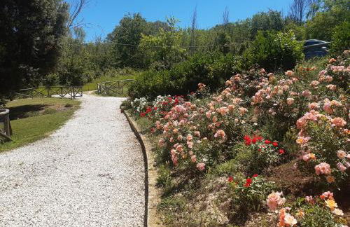 mansio maritima - Foto 35