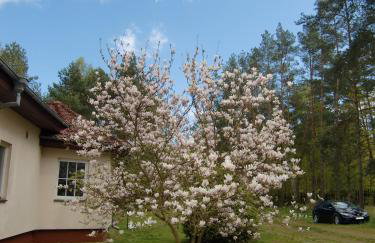 Magnolia - Apartment in Villa Ambrosian - Foto 11