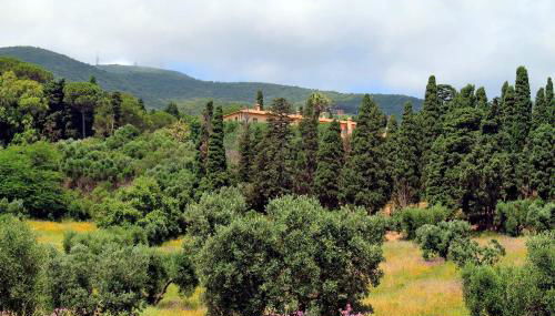 Agriturismo Pimpinnacolo - Foto 4