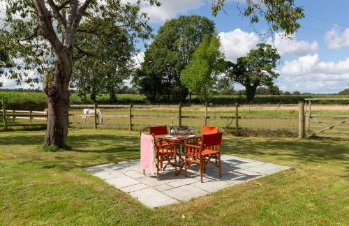 Stunning studio flat with dedicated private garden - Photo 23