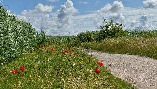 Ferienwohnung Krull - Foto 5