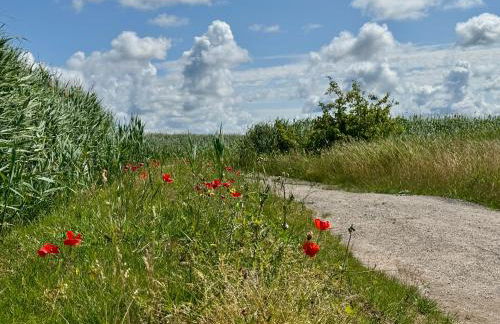 Ferienwohnung Krull - Foto 5