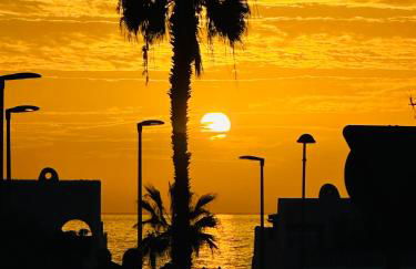 Apartamento Alta Mar en Oasis Tenerife Sur - Foto 20