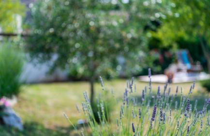 Beautiful Villa Cicibella with pool in Barban - Foto 31