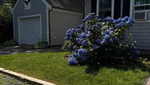 Spacious Renovated in Historic Sandwich - Foto 4, Garden