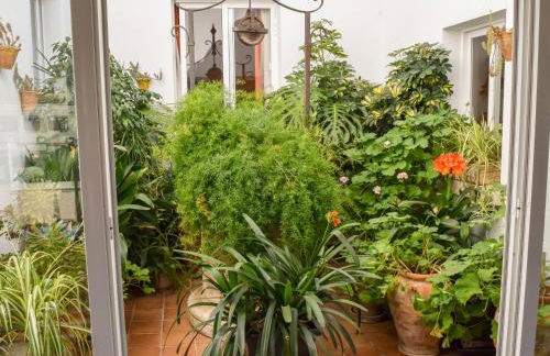 Villa Alexia - APARTMENT CORAL - Puerto Pollensa - Foto 30