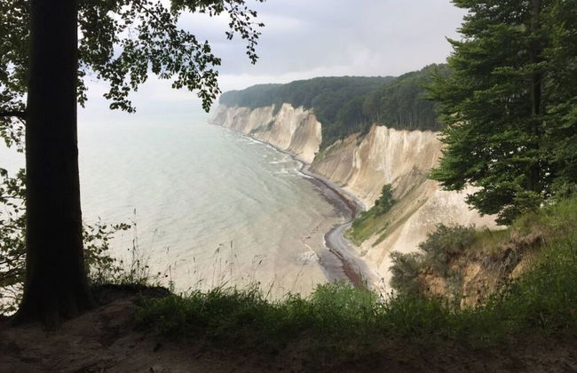 Black-headed Gull Comfortable Holiday Residence - Foto 10