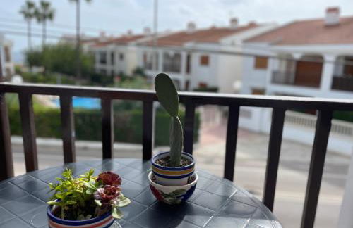 Las tres palmeras - Foto 19