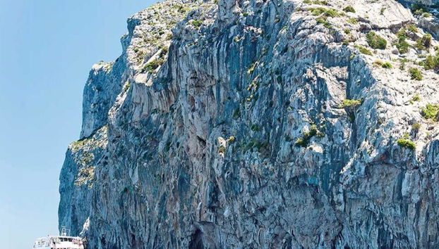 Visite a Praia de Formentor de Catamarã com Fundo de Vidro - Foto 5