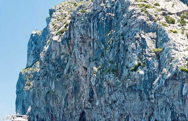 Visite a Praia de Formentor de Catamarã com Fundo de Vidro - Foto 5