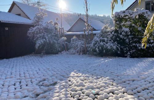 Pia's Nature Retreat - Foto 98