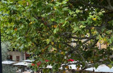 Au coeur du village provençal - Foto 15