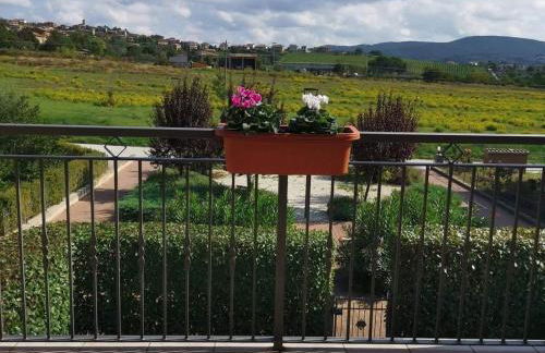 Appartamento "IL GAMBERO" - Foto 13