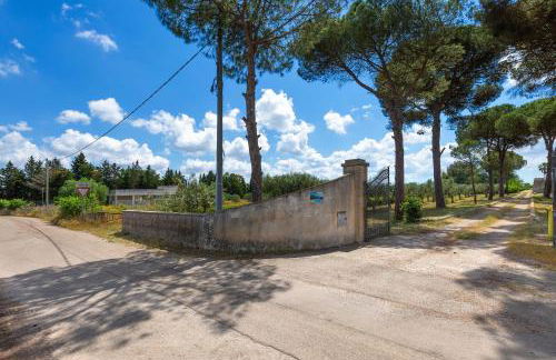 Villa Sicaminea by BarbarHouse - Foto 25