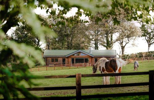 Constable Burton - Photo 20