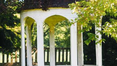 Siedlisko Słoneczny Jar - Foto 2, Garden