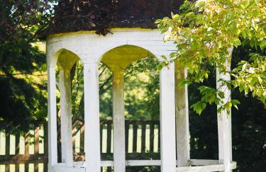 Siedlisko Słoneczny Jar - Foto 2