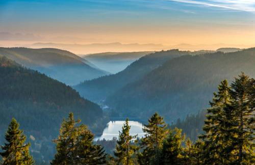 Balkon mit Schwarzwaldblick, Hunde frei, Tischfußball, Parkplatz, familienfreundlich - Foto 30