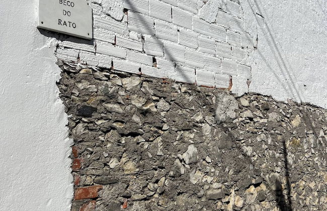 Sun And Ocean House With 2 Bathrooms - Photo 25