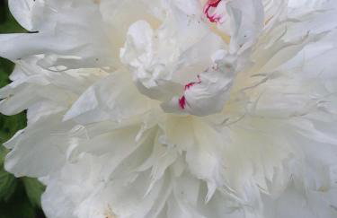 Hewletts Mill - Foto 48