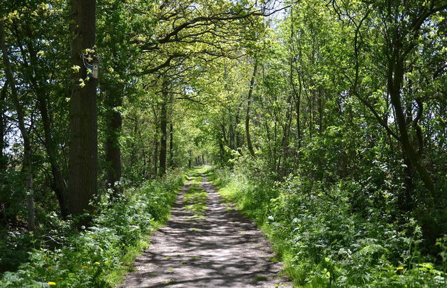 Enticing Holiday Home in Eastermar near Burgumer Mar Lake - Photo 40