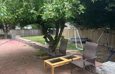 Apartment - Photo 12