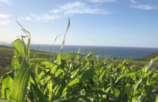 Casa de la Media Borona - Foto 38