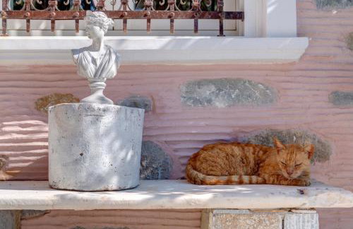 ALMA LIBRE SYROS - Foto 13