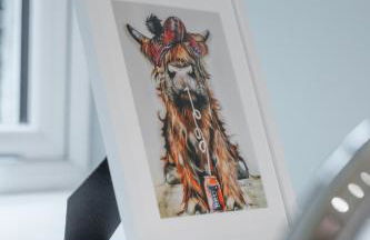 Broom Cottage - Foto 32