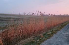 Ferienhaus Klabautermann - Foto 13