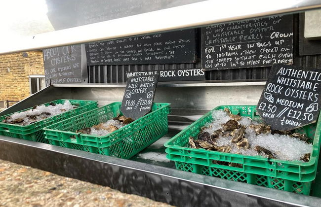 Countryside Annex- Sleeps 2, Free Parking & Garden - Foto 30