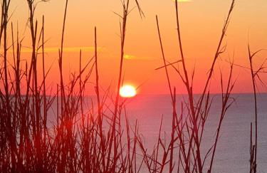 Sondela Self Catering - Foto 61