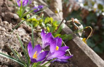 Casa Ländli - Foto 30