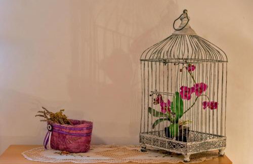 Apartments Emi - Photo 15