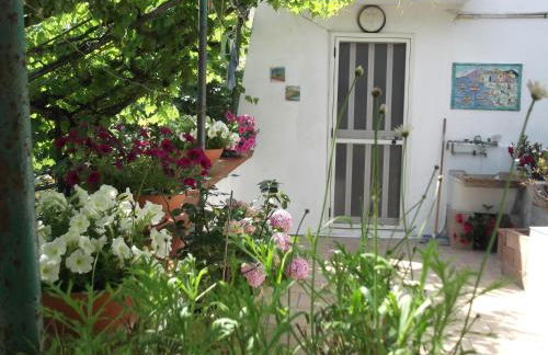 Le Mimose - Photo 40