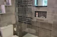 La chaume du marais poitevin avec barque green venice with boat - Foto 6