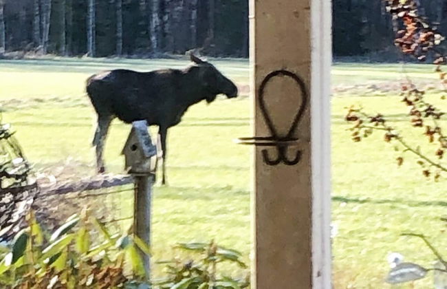 7 Person Holiday Home in Nassjo - Foto 13