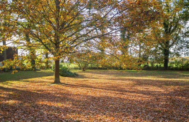 Spacious Apartment With Garden - Foto 18
