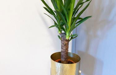 Fuchsbau unterm Krönchen - Foto 11