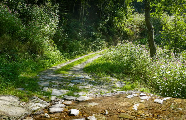 Rustico Girasole - Foto 30