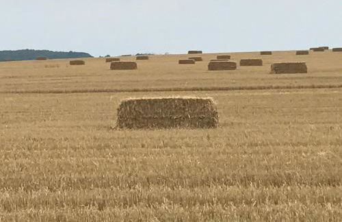 Peeneurlaub - Foto 40