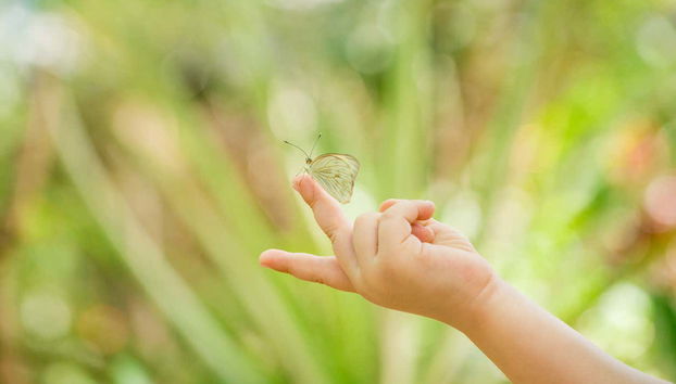 Disfrutando de una mariposa en nuestro dedo