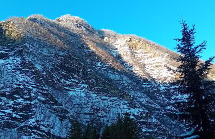 Residence Giardino - Photo 33