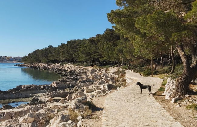 Stunning 2-bed House in Jezera With Sea Views - Foto 11