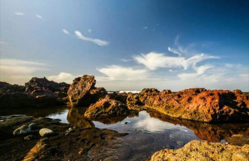 La Bouganvilla - Foto 23