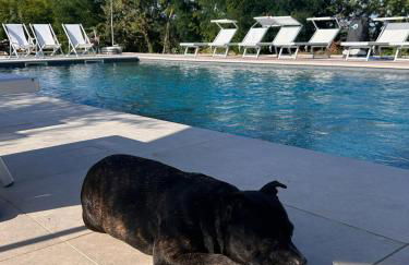 Cascina Del Merlo - Foto 11